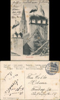 Ansichtskarte Freiburg Im Breisgau Storchenidyll - Münster 1905 - Freiburg I. Br.