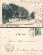 Ansichtskarte Altrahlstedt-Hamburg Framsen - Straße, Gasthaus 1901 - Other & Unclassified