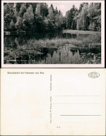 Postcard Hammer Am See Hamr Na Jezeře Kunzeteich 1932 - Tschechische Republik