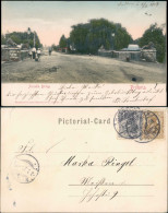 Postcard Pretoria Tshwane Straßenpartie Arcadia Brücke 1905 - Afrique Du Sud