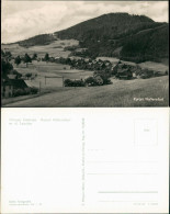 Ansichtskarte Waltersdorf-Großschönau (Sachsen) Stadtblick 1956 - Grossschönau (Sachsen)