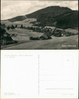 Ansichtskarte Waltersdorf-Großschönau (Sachsen) Stadtblick 1956 - Grossschoenau (Sachsen)