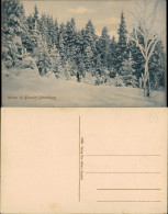 Bärenburg-Altenberg (Erzgebirge)  Verschneiter Wald, 1 Wanderer Unterwegs 1910 - Kipsdorf