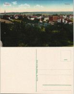 Ansichtskarte Burgstädt Blick Auf Die Stadt Fabriken 1913 - Burgstädt