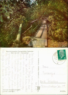 Zinnwald-Georgenfeld-Altenberg (Erzgebirge) Naturschutzgebiet  Hochmoor  1965 - Altenberg