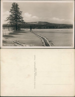 Altenberg (Erzgebirge) Skifahrer Hinterlässt Spuren Im Erzgebirge 1940 - Altenberg