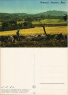 Bethlehem בֵּית לֶחֶם بيت لحم Panorama-Ansicht Hirten-Feld Shepard`s Field 1970 - Israel