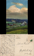 Ansichtskarte Alpirsbach Hütten Photochromie Stimmungsbild 1915 - Alpirsbach
