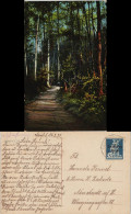 Ansichtskarte  Stimmungsbilder: Natur Wald - Weg 1921 - Ohne Zuordnung