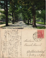 Ansichtskarte Baden-Baden Lichtentaler Allee 1919 - Baden-Baden