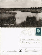 Postkaart Appelscha Appelscha, Veenplas Landschaft Landscape 1960 - Andere & Zonder Classificatie