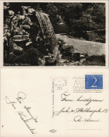 Postkaart Apeldoorn Berg En Bos, Wasserfall (Waterfall) 1951 - Altri & Non Classificati