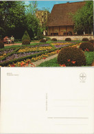 Ansichtskarte Berlin Englischer Garten 1975 - Autres & Non Classés