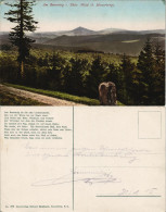 Ansichtskarte Masserberg Am Rennsteig Fernblick 1913 - Masserberg