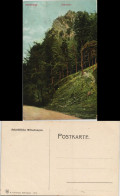 Ansichtskarte Ilsenburg (Harz) Ilsestein / Ilsenstein 1906 - Sonstige & Ohne Zuordnung