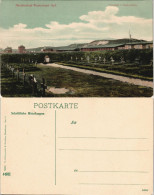 Ansichtskarte Westerland-Sylt Partie Am Friedhof Der Heimatlosen 1911 - Other & Unclassified