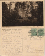 Wörlitz-Oranienbaum-Wörlitz Landschaftspark Wörlitz Gotisches Haus 1919 - Sonstige & Ohne Zuordnung