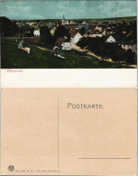 Ansichtskarte Elbingerode-Oberharz Am Brocken Stadtpartie 1907  # - Other & Unclassified