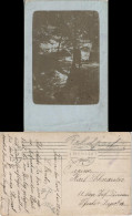 Ansichtskarte  Steg Im Wald Gel. Feldpost 1916 - A Identificar