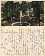 Ansichtskarte Bad Pyrmont Palmengarten 1930 - Bad Pyrmont