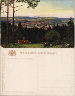 Ansichtskarte Bad Wildungen Totale - Künstlerkarte 1913 - Bad Wildungen