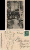 Ansichtskarte Höningen (Altleiningen) Höningen - Kohlbrunnen 1914 - Sonstige & Ohne Zuordnung