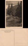 Ansichtskarte Olbernhau Natzschungtal/Erzgebirge 1928 - Olbernhau