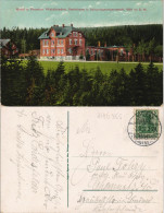 Ansichtskarte Steinbach-Johanngeorgenstadt Hotel U. Pension Waldfrieden 1912 - Johanngeorgenstadt