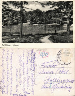 Ansichtskarte Bad Oldesloe Partie Am Salzteich 1955 - Other & Unclassified