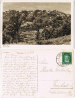 Ansichtskarte Eisenberg (Thüringen) Totale 1927 - Eisenberg