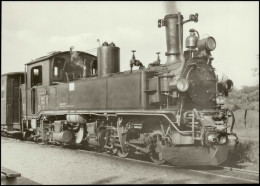 Ansichtskarte  Traditionsbahn Radebeul Ost Nach Radeburg In Friedewald 1979 - Trains