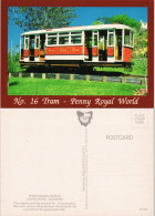 Ansichtskarte  Launceston (Tasmania Australien) Tram Straßenbahn Wagen 1980 - Strassenbahnen