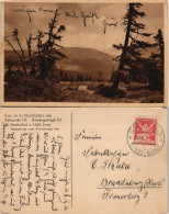 Petzer Pec Pod Sněžkou Studniční Hora - Brunnberg, Brunnenberg 1921 - Czech Republic