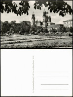 Ansichtskarte München Hofgarten Mit Fernansicht Theatinerkirche 1960 - München