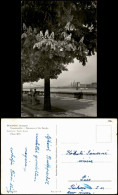 Postcard Budapest Donauansicht, Panorama Of The Danube 1970 - Hungary