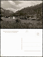 Bayerisch Gmain Panorama-Ansicht Gg. Untersberg Und Lattengebirge 1960 - Sonstige & Ohne Zuordnung