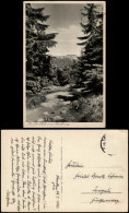 Ansichtskarte Ilsenburg (Harz) Brockenblick Vom Goetheweg 1928 - Sonstige & Ohne Zuordnung