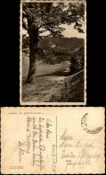 Ansichtskarte Liebstadt Baum Blick Auf Schloß Kuckuckstein - Fotokarte 1934 - Liebstadt