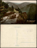 Ansichtskarte .Thüringen Der Griesbachfelsen Schwarza-Tal Color-Foto 1926 - Altri & Non Classificati