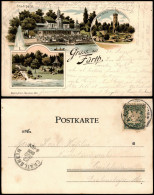 Ansichtskarte Litho AK Fürth Stadtpark, Restaurant 1900 - Fürth