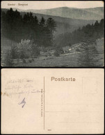 Ansichtskarte Oberhof (Thüringen) Obragrund 1912 - Oberhof