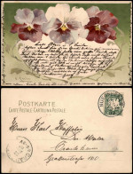 Ansichtskarte  Botanik :: Blumen Stiefmütterchen - Jugendstilkarte 1903 - Autres & Non Classés