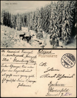 Ansichtskarte .Niedersachsen Harz Im Winter - Rehe 1915  Gel. Feldpost Ilsenburg - Otros & Sin Clasificación