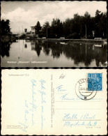 Seifhennersdorf Waldbad Silberteich DDR AK 1956   Gelaufen Mit Stempel ZITTAU - Seifhennersdorf