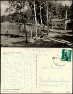 Ansichtskarte Schmannewitz-Dahlen Waldbad Freibad DDR Ansicht 1965/1964 - Dahlen