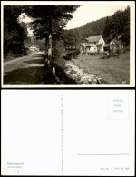 Ansichtskarte .Thüringen Grubersmühle Sormitzgrund 1953 - Otros & Sin Clasificación