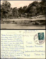 Ansichtskarte Wernigerode Forsthaus Und Waldgasthaus Christianental 1966/1962 - Sonstige & Ohne Zuordnung