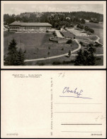 Ansichtskarte Oberhof (Thüringen) An Der Festhalle 1957 - Oberhof