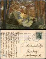 Ansichtskarte  Stimmungsbilder Natur & Wald Photochromie Karte 1356 1910 - Non Classés