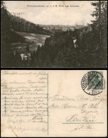 Ansichtskarte Freudenstadt Panorama-Ansicht Blick Vom Schöneck 1911 - Freudenstadt